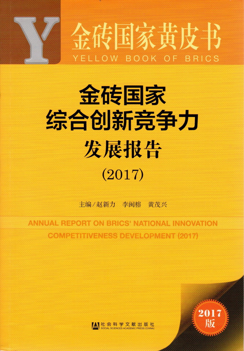 操姑娘逼逼视频金砖国家综合创新竞争力发展报告（2017）